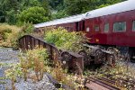 Turntable in the Weeds